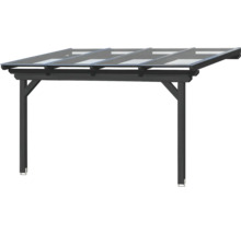 Carport mit Glasdach