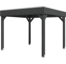 Pavillon en bois avec toit plat