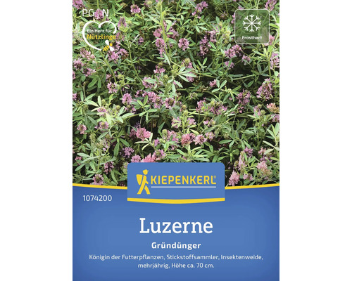 Engrais vert Kiepenkerl luzerne pour 100 m²