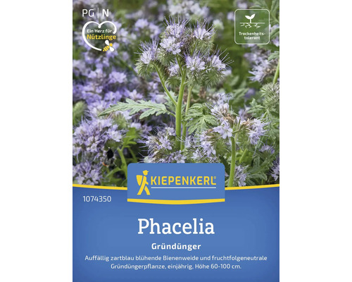 Engrais vert Kiepenkerl Bienenfreund/Phacelia pour 100 m²