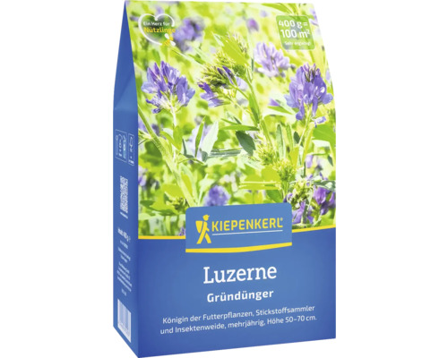 Engrais vert Kiepenkerl luzerne 0,4 kg pour 100 m² Paquet d''engrais vert de luzerne de Kiepenkerl avec des fleurs violettes