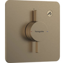 Hansgrohe Fertigset für Brause mit Mengen- und Temperaturregler