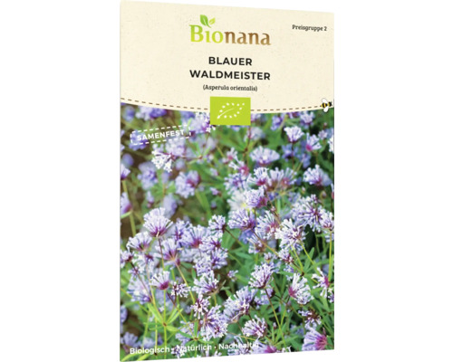 Bio Blauer Waldmeister Blumensamen