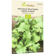 Bionana Asia Salat Green in Snow Samenpackung