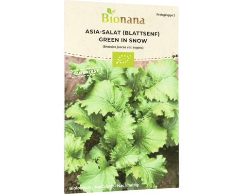 Bio Asia-Blattgemüse Green in Snow Salatsamen