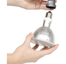 Reptilienlampe mit E27 Fassung wird in eine Lampenfassung geschraubt