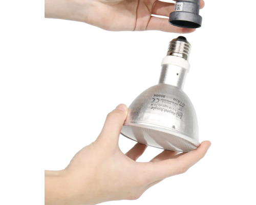 Reptilienlampe mit E27 Fassung wird in eine Lampenfassung geschraubt