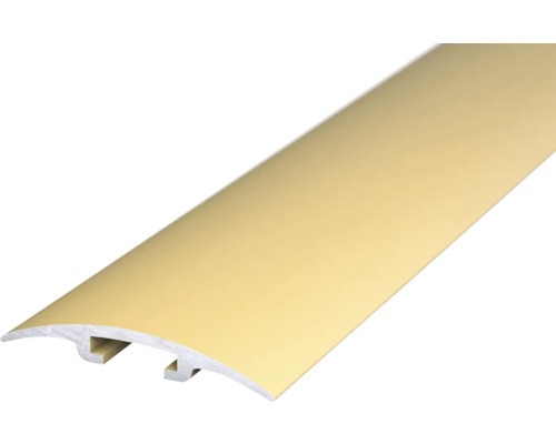 Barre de seuil Prinz D.O.S. aluminium or 30 x 1000 mm Profilé de sol pour recouvrir les transitions de sol