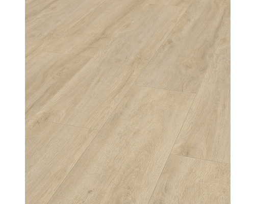 Laminat Advanced Plus Grand Eiche hell Landhausdiele 1380 x 244 x 8 mm Nahaufnahme von hellem Laminatboden mit Holzstruktur