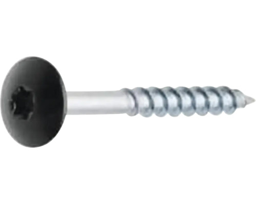 Linsenkopfschraube mit Torx Antrieb