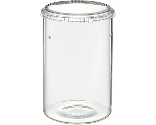 Klares Glasrohr