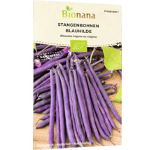 Bionana Stangenbohnen Blauhilde Samenpackung