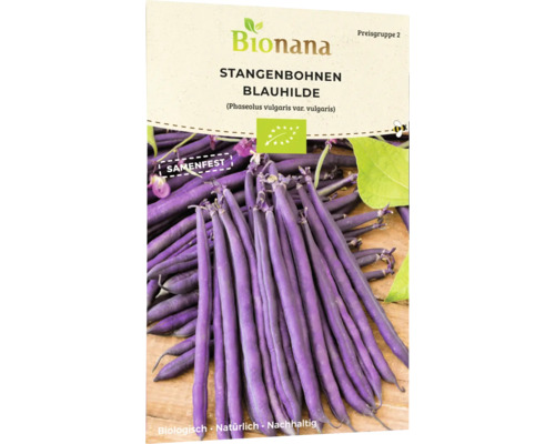 Bio Stangenbohnen Blauhilde Gemüsesamen, fadenlose Sorte