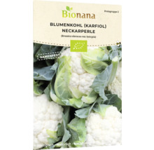 Blumenkohl Neckarperle Saatgutpackung