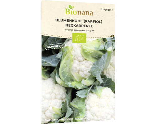 Bio Blumenkohl Neckarperle Gemüsesamen