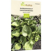 Barbarakraut Samenpackung von Bionana