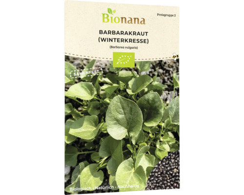 Cresson d'hiver bio Barbarakraut graines de fines herbes Paquet de graines de cresson de Barbarée de Bionana