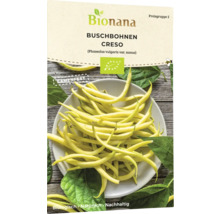 Bionana Buschbohnen Creso Samenpackung