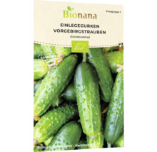Bionana Einlegegurken Vorgebirgstrauben Samenpackung