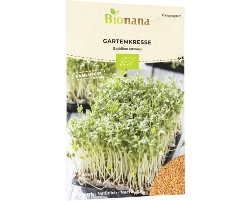 Bio Kresse einjährig Kräutersamen