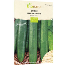 Bionana Gurke Marketmore Samenpackung