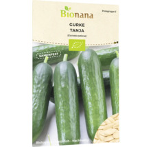 Bionana Gurke Tanja Samenpackung