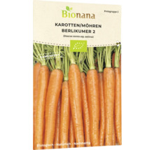 Bionana Karotten beziehungsweise Möhren Berlikumer 2 Saatgutpackung