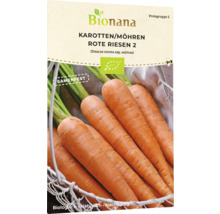 Karotten Rote Riesen 2 Saatgutpackung