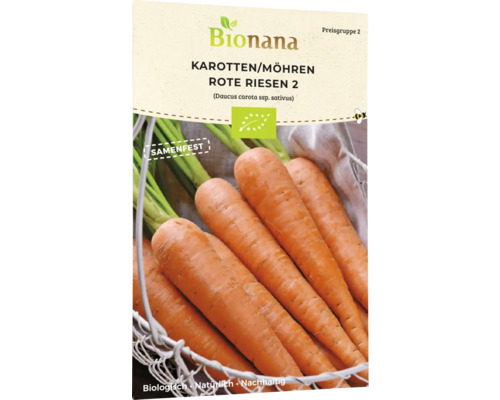 Bio Karotte Rote Riesen 2 (Flakkese 2) Gemüsesamen