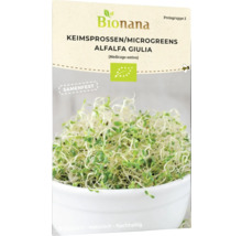 Bionana Alfalfa Giulia Keimsprossen und Microgreens Samenpackung