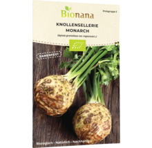 Bionana Knollensellerie Monarch Samenfest