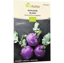 Bionana Kohlrabi Blaro Samenpackung