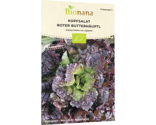 Bio Kopfsalat Roter Butterhäuptl Salatsamen