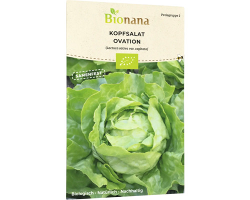 Bio Kopfsalat Ovation Gemüsesamen