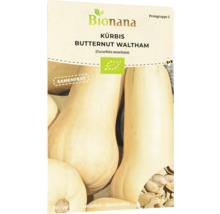 Bionana Kürbis Butternut Waltham Saatgutpackung