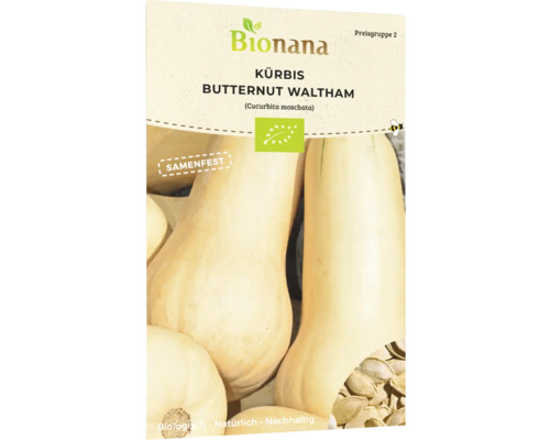 Bio Kürbis Butternut Waltham Gemüsesamen