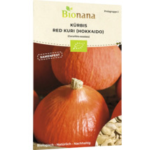 Bionana Red Kuri Hokkaido Kürbis Saatgutpackung