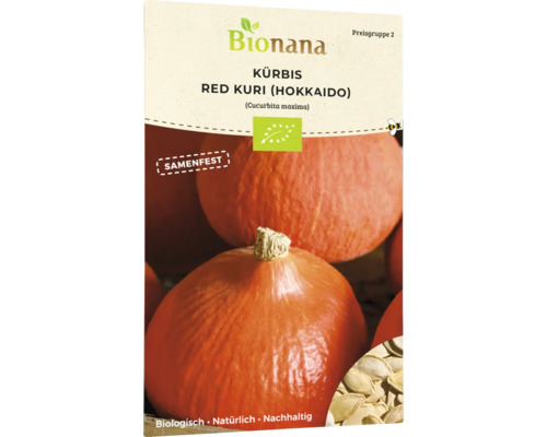 Bio Kürbis Red Kuri (Hokkaido) Gemüsesamen