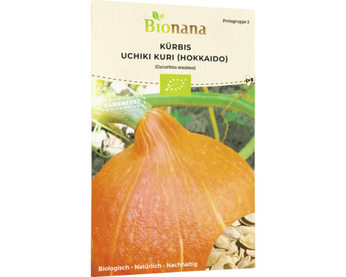 Bio Kürbis Uchiki Kuri (Hokkaido) Gemüsesamen