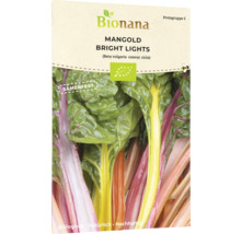 Mangold Bright Lights Samenpackung von Bionana