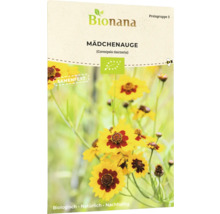 Samenpackung Mädchenauge Coreopsis tinctoria