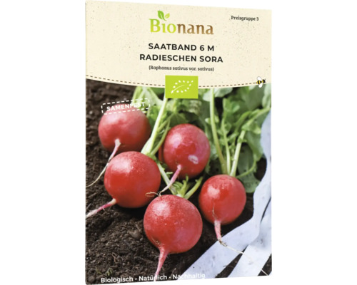 Radieschen Gemüsesamen