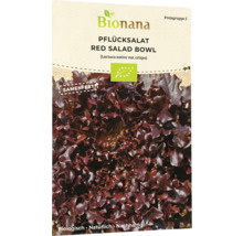 Bionana Red Salad Bowl Pflücksalat Samen