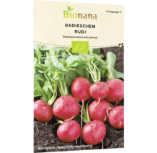 Bionana Radieschen Rudi Samenpackung