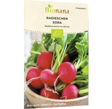Bionana Radieschen Sora Samenpackung