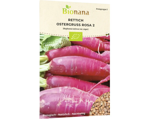 Rettich Gemüsesamen