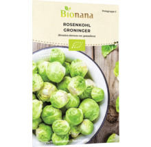 Bionana Rosenkohl Groninger Samenfeste Sorte