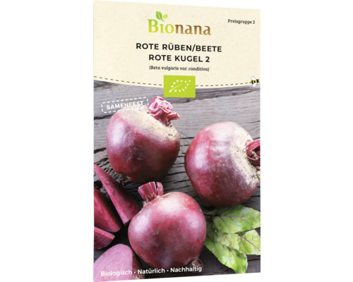 Betterave rouge graines de légumes