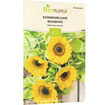 Bionana Tournesol Bambino Sachet de graines