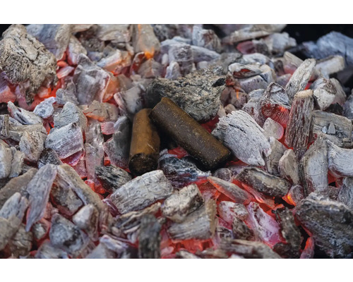 Braises de barbecue avec briquettes de charbon de bois
